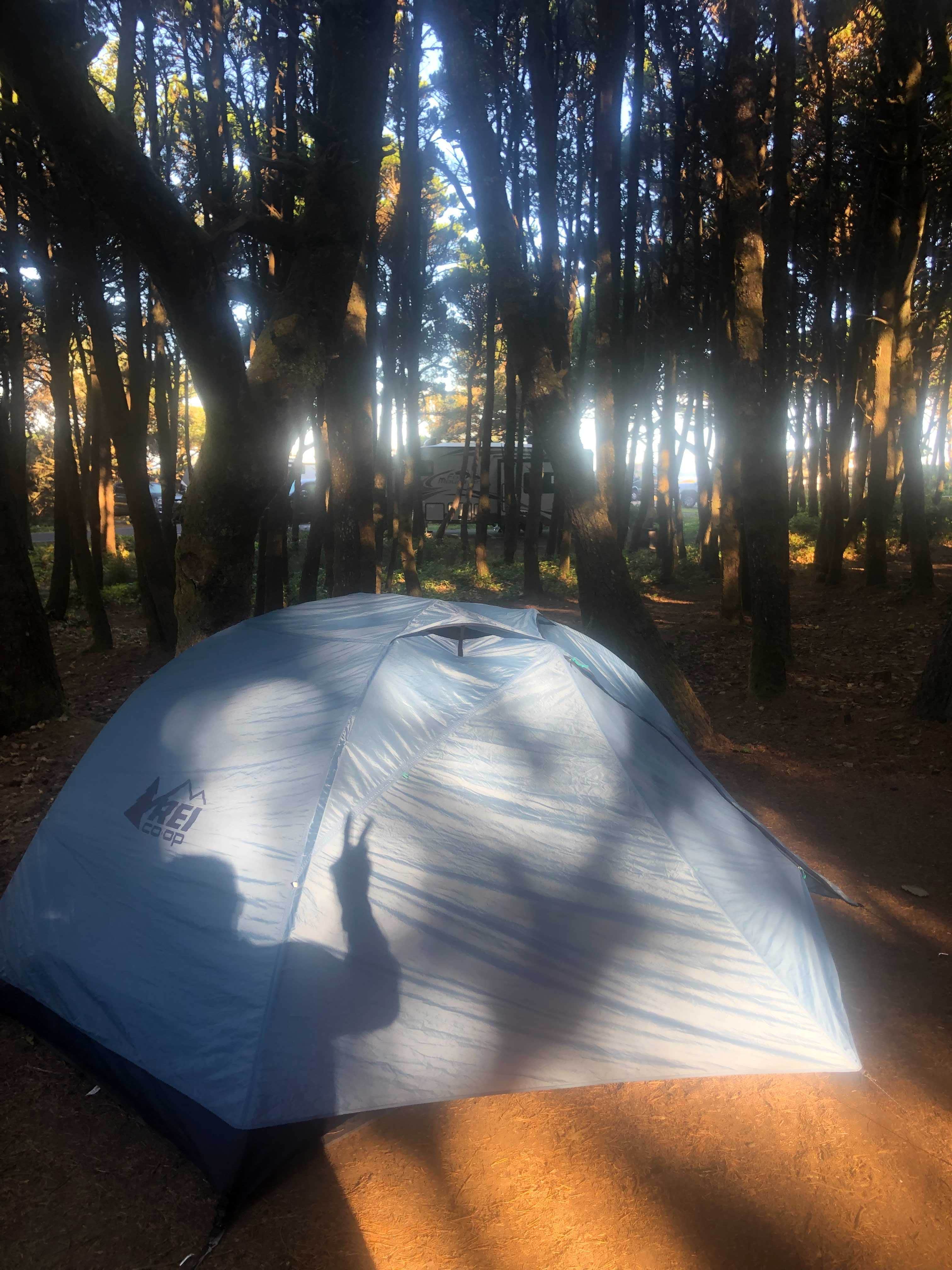 Sierra T.'s photo at Tillicum Beach Campground near Newport, OR