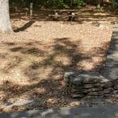 Review photo of Devils Elbow Recreation Area by Staci R., September 27, 2022