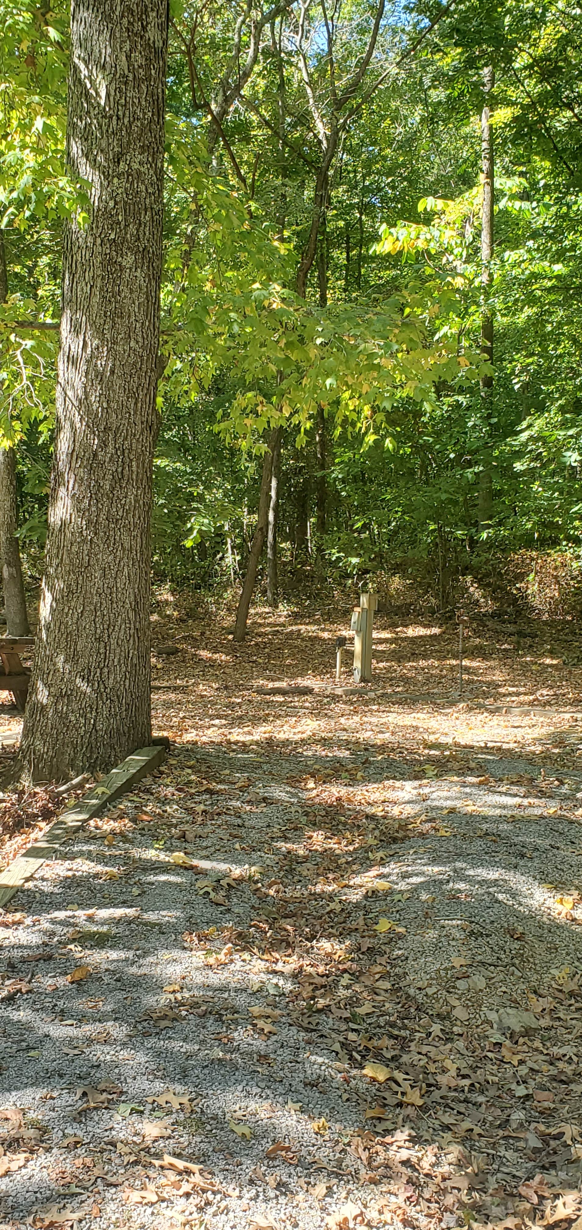 Devils Elbow Recreation Area