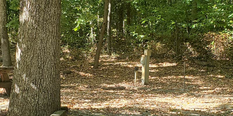 Camper submitted image from Devils Elbow Recreation Area