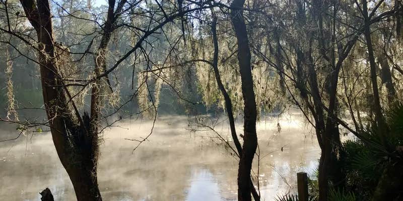 Camper submitted image from Off Grid River Escape