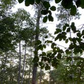 Review photo of Huntsville State Park Campground by Taylor M., September 27, 2022