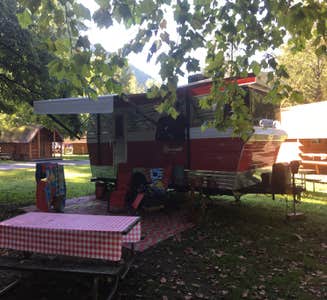 Camper-submitted photo from Cataloochee Campground — Great Smoky Mountains National Park