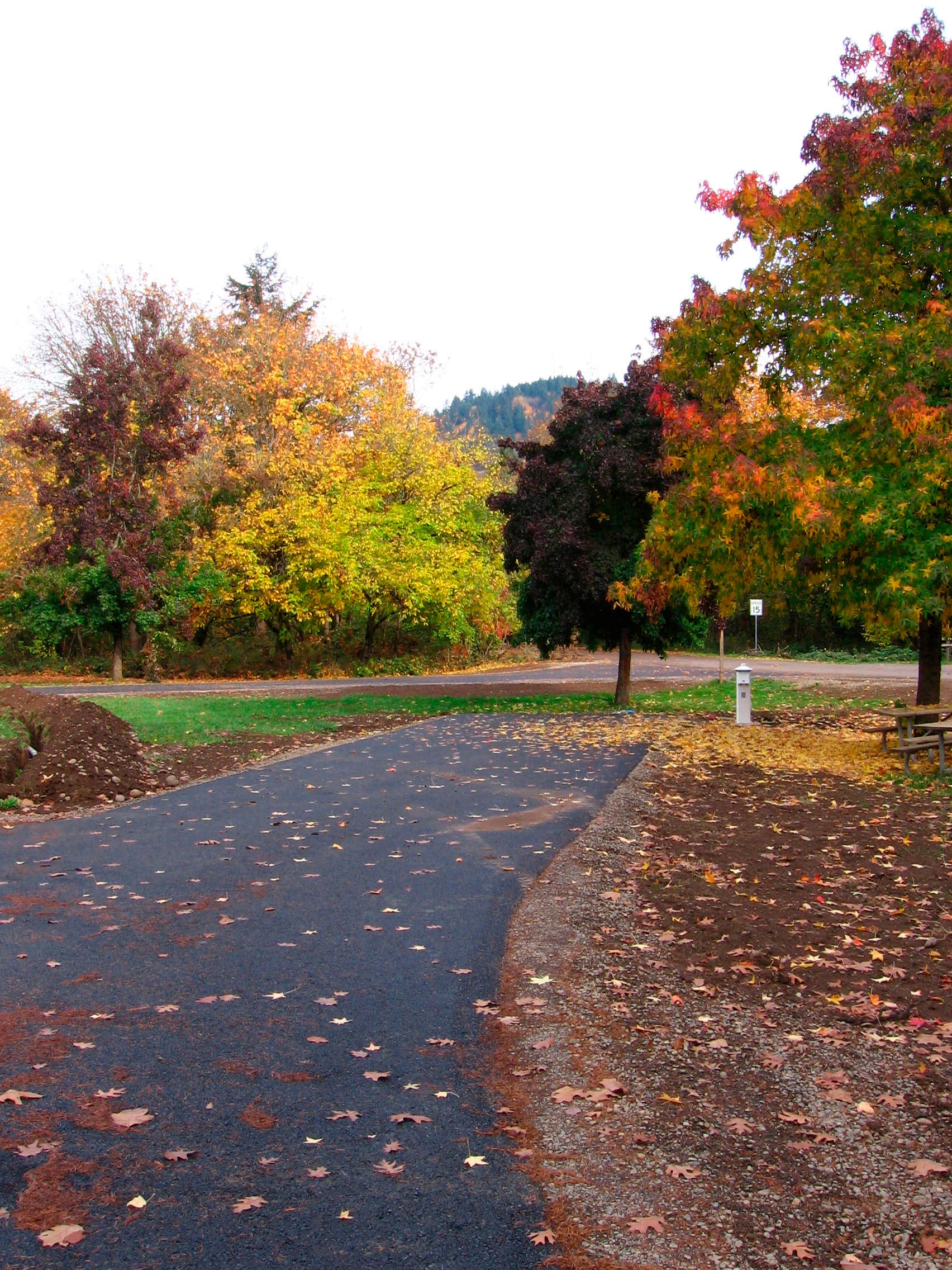 Camper-submitted photo at Armitage Park & Campground - a Lane County Park near Cottage Grove, OR