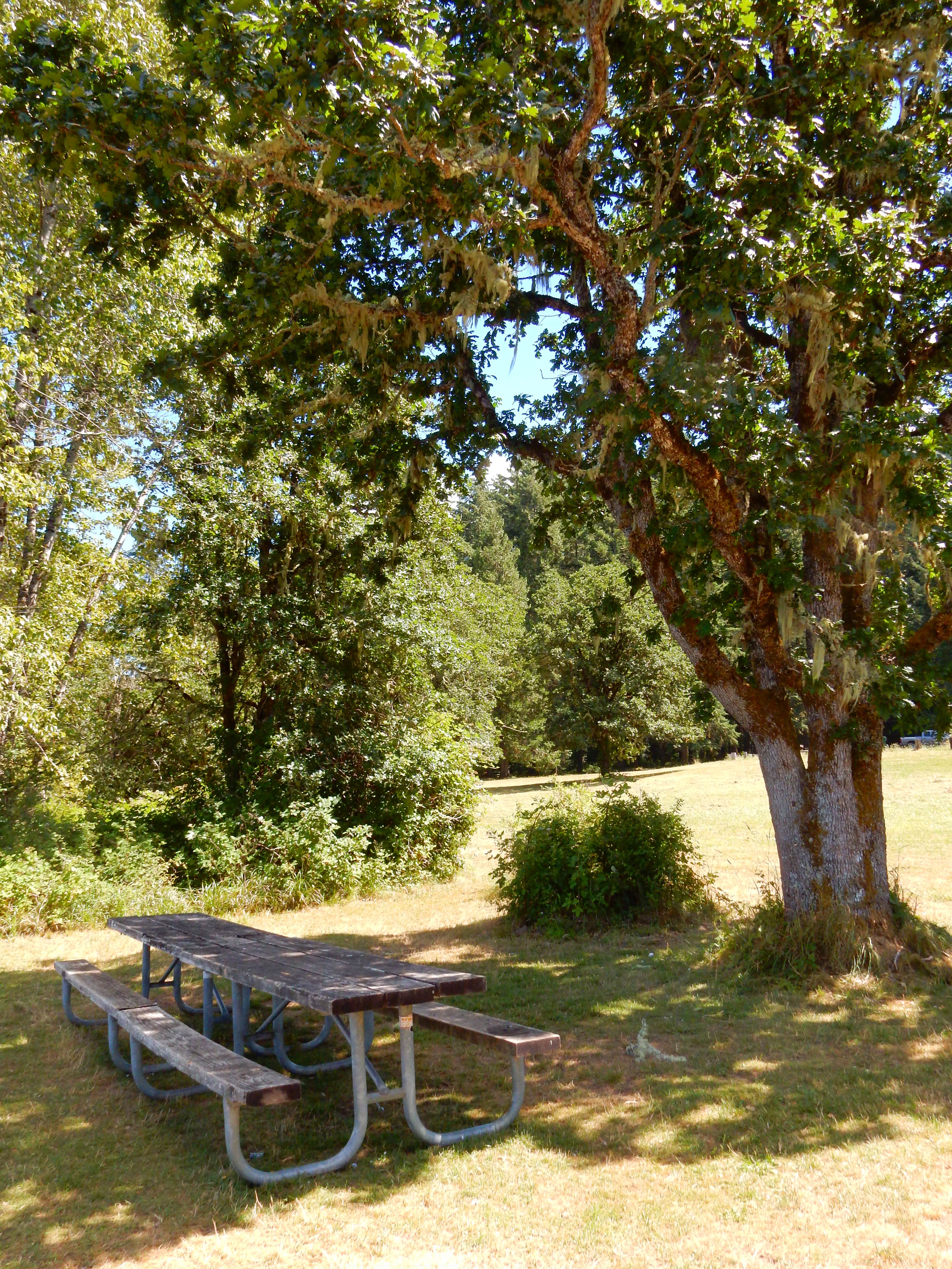 Camper-submitted photo at Baker Bay Campgrounds & Marina - a Lane County Park near Cottage Grove, OR