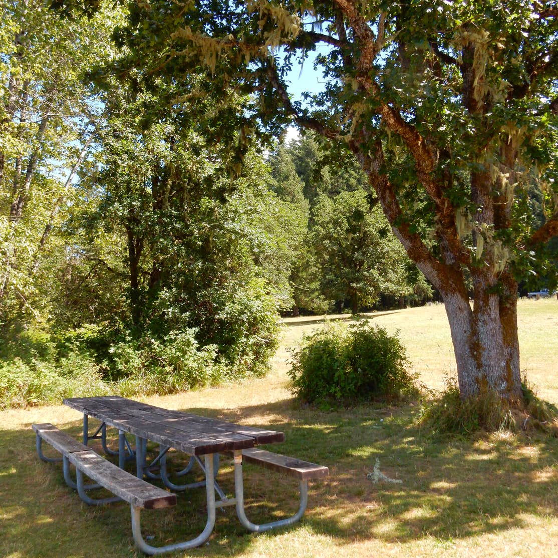 Baker Bay Campgrounds & Marina a Lane County Park Camping Dorena