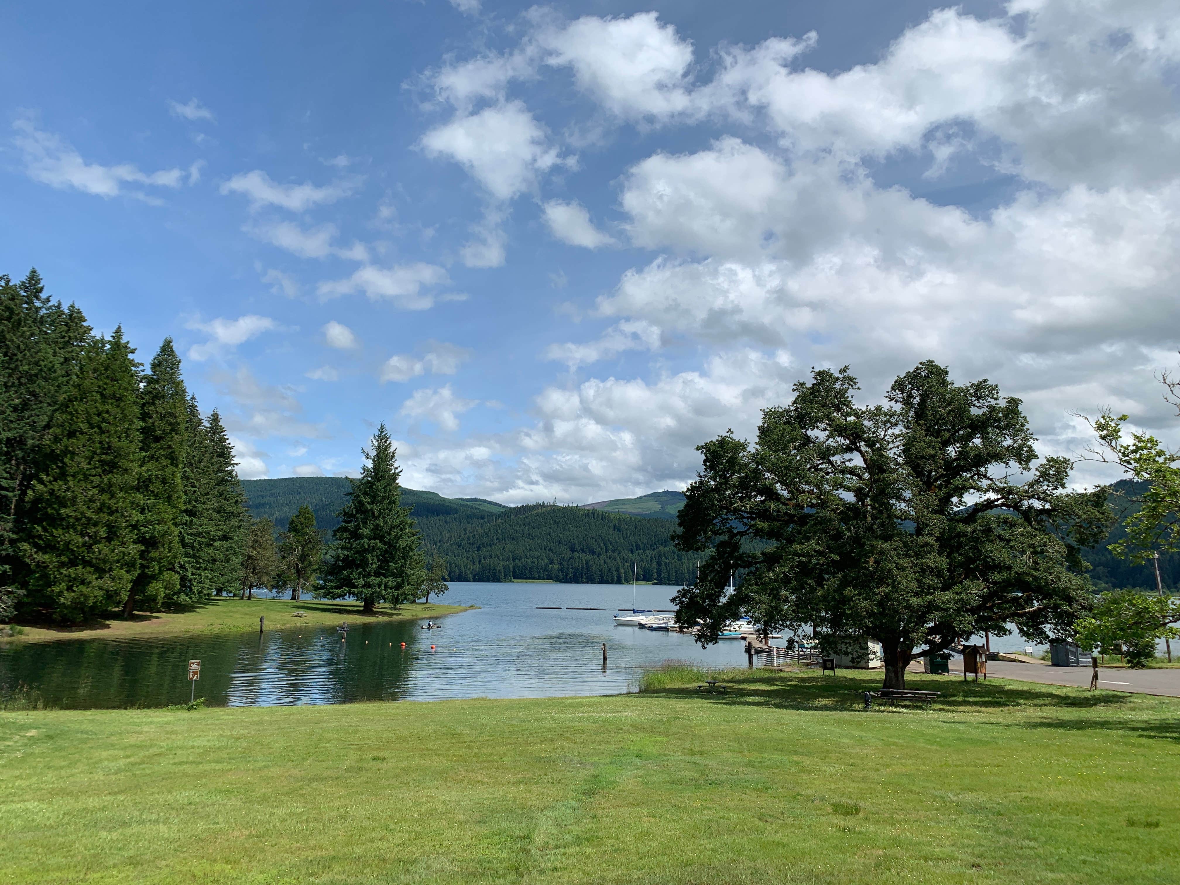 Camper-submitted photo at Baker Bay Campgrounds & Marina - a Lane County Park near Cottage Grove, OR