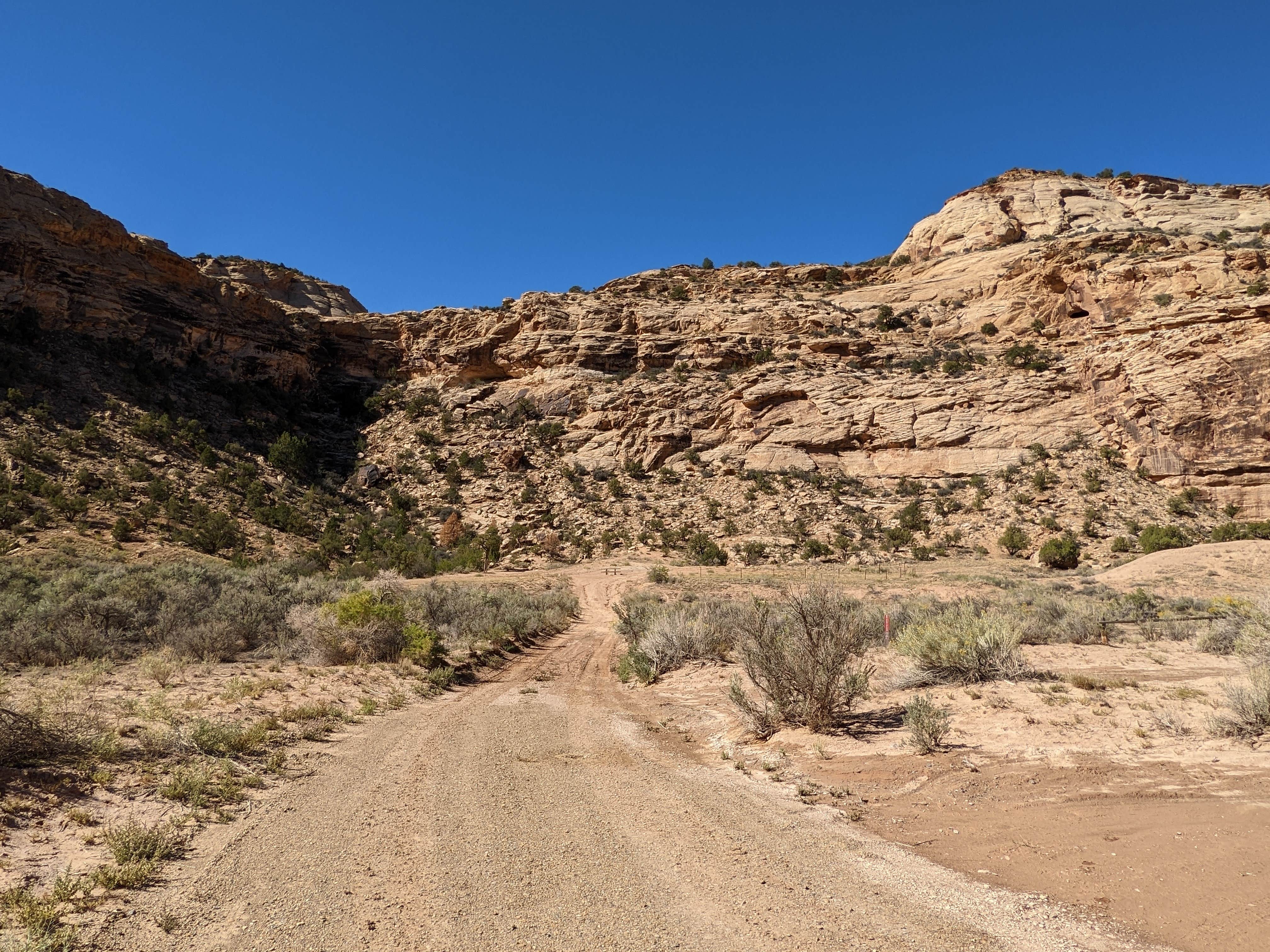 Camper-submitted photo at Buckhorn Draw Designated Group Campsite #12 near Huntington, UT