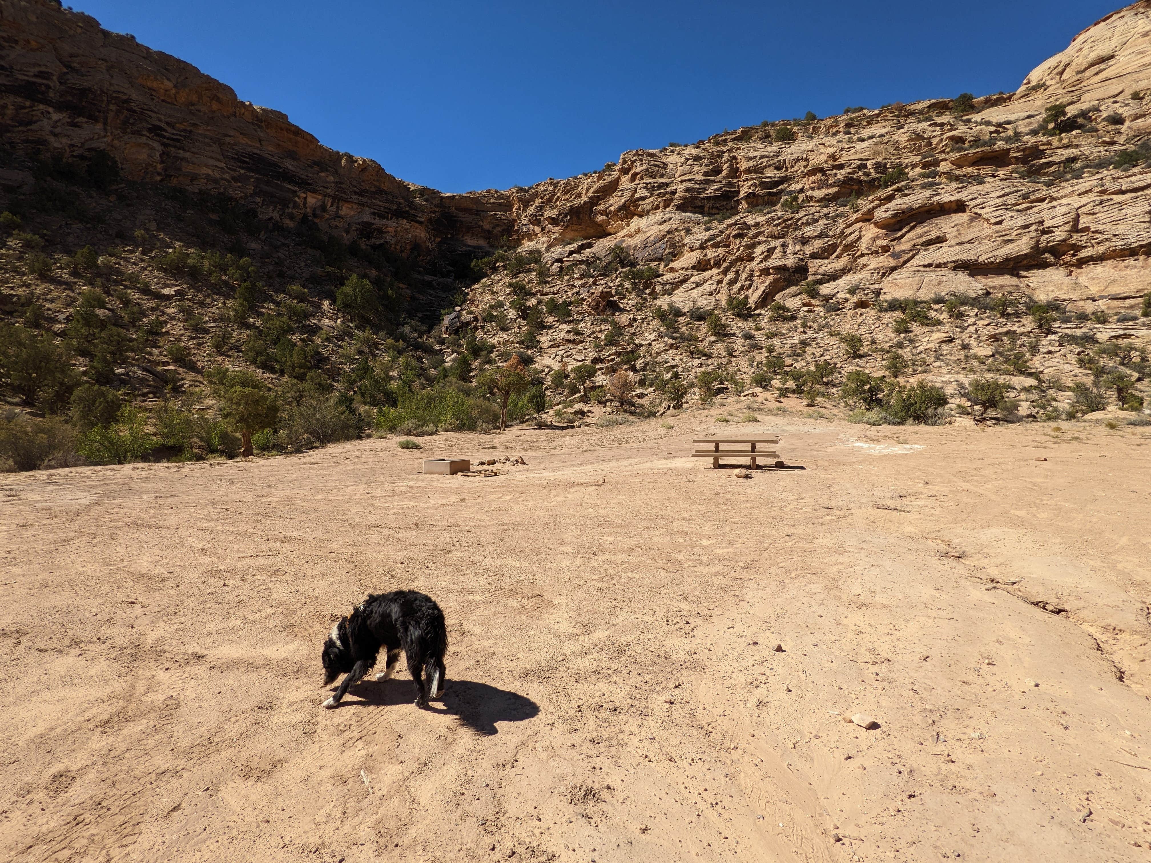 Camper-submitted photo at Buckhorn Draw Designated Group Campsite #12 near Huntington, UT