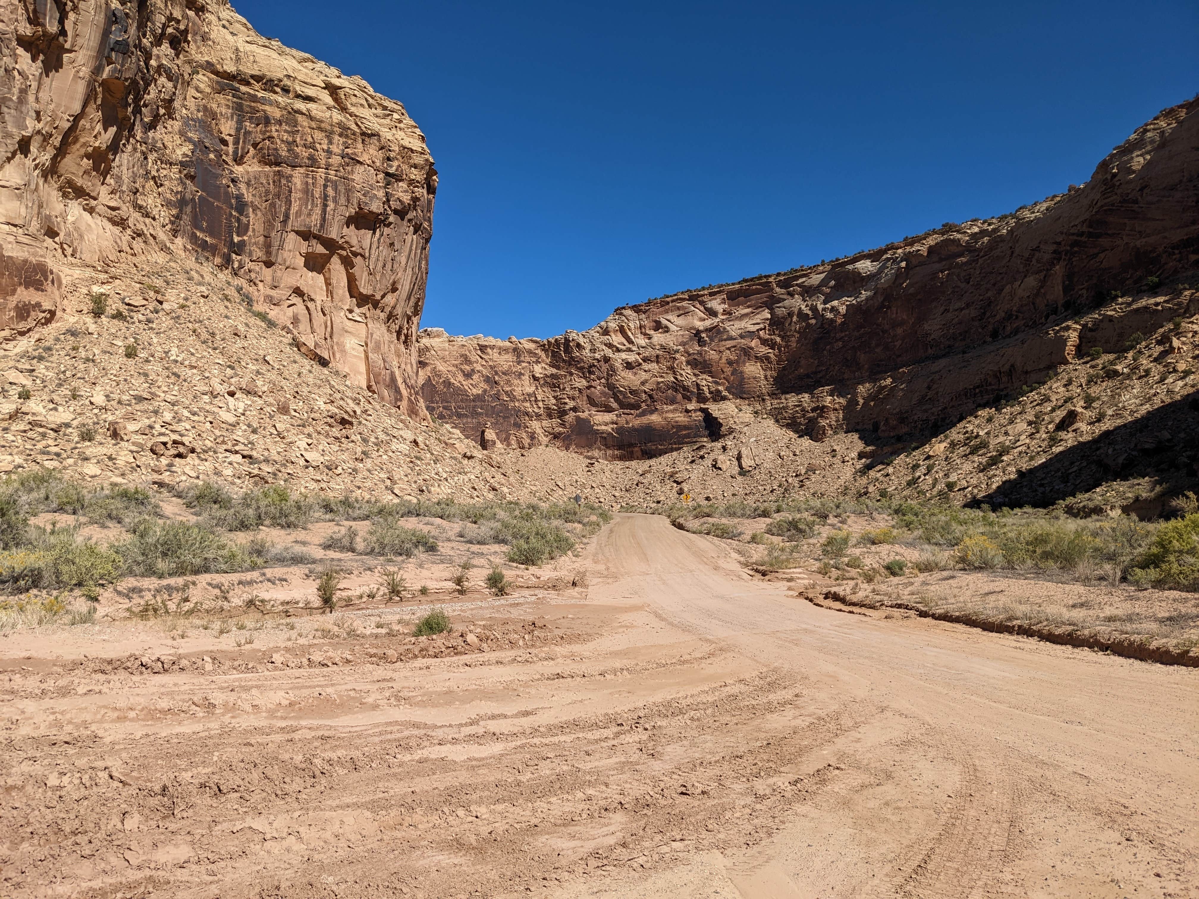 Camper-submitted photo at Buckhorn Draw Designated Campsite #13 near Huntington, UT