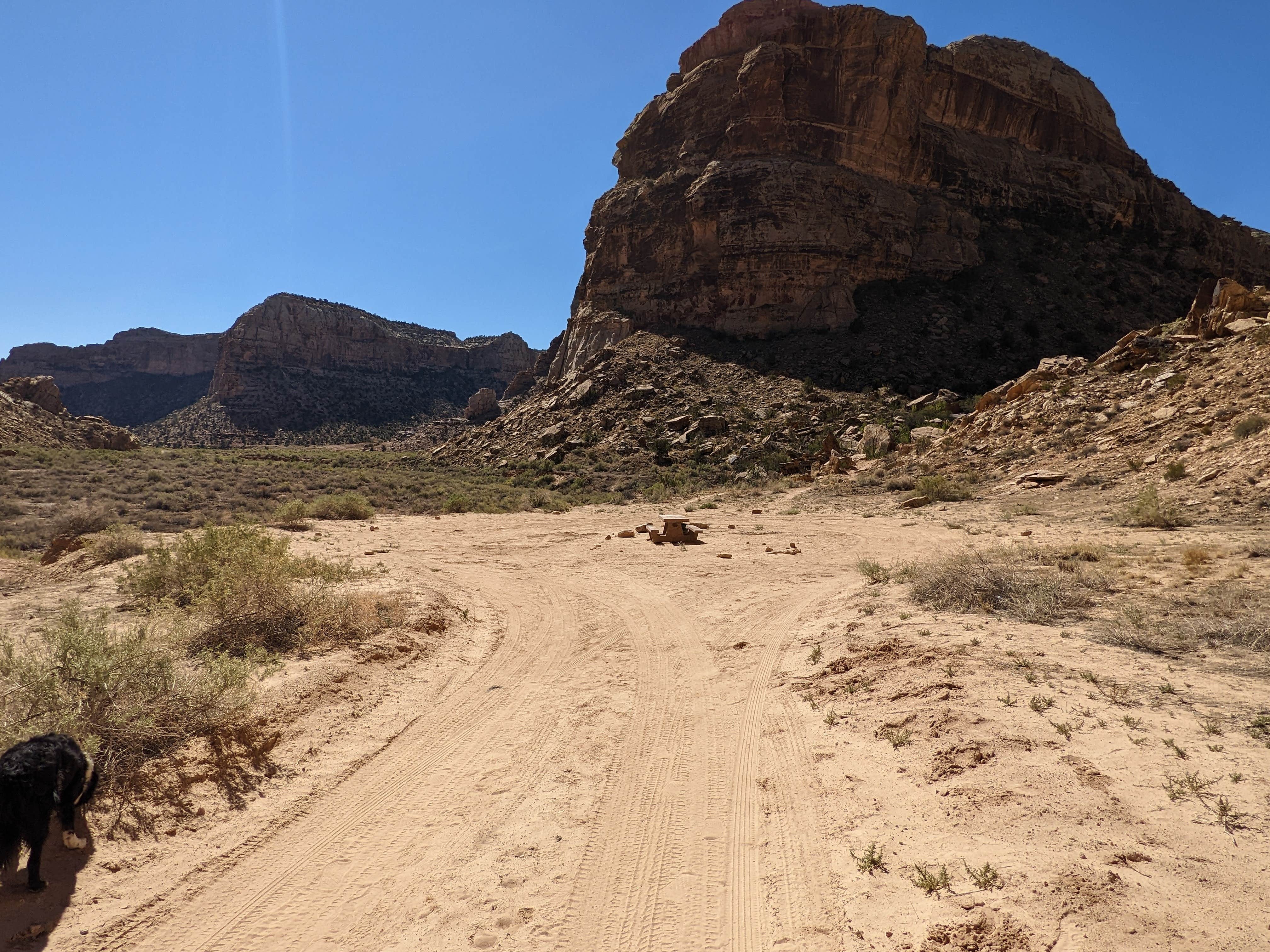 Camper-submitted photo at Buckhorn Draw Designated Campsite #13 near Huntington, UT