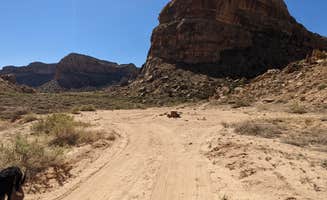 Greg L.'s photo of camping with pets at Buckhorn Draw Designated Campsite #13 near Wellington, UT
