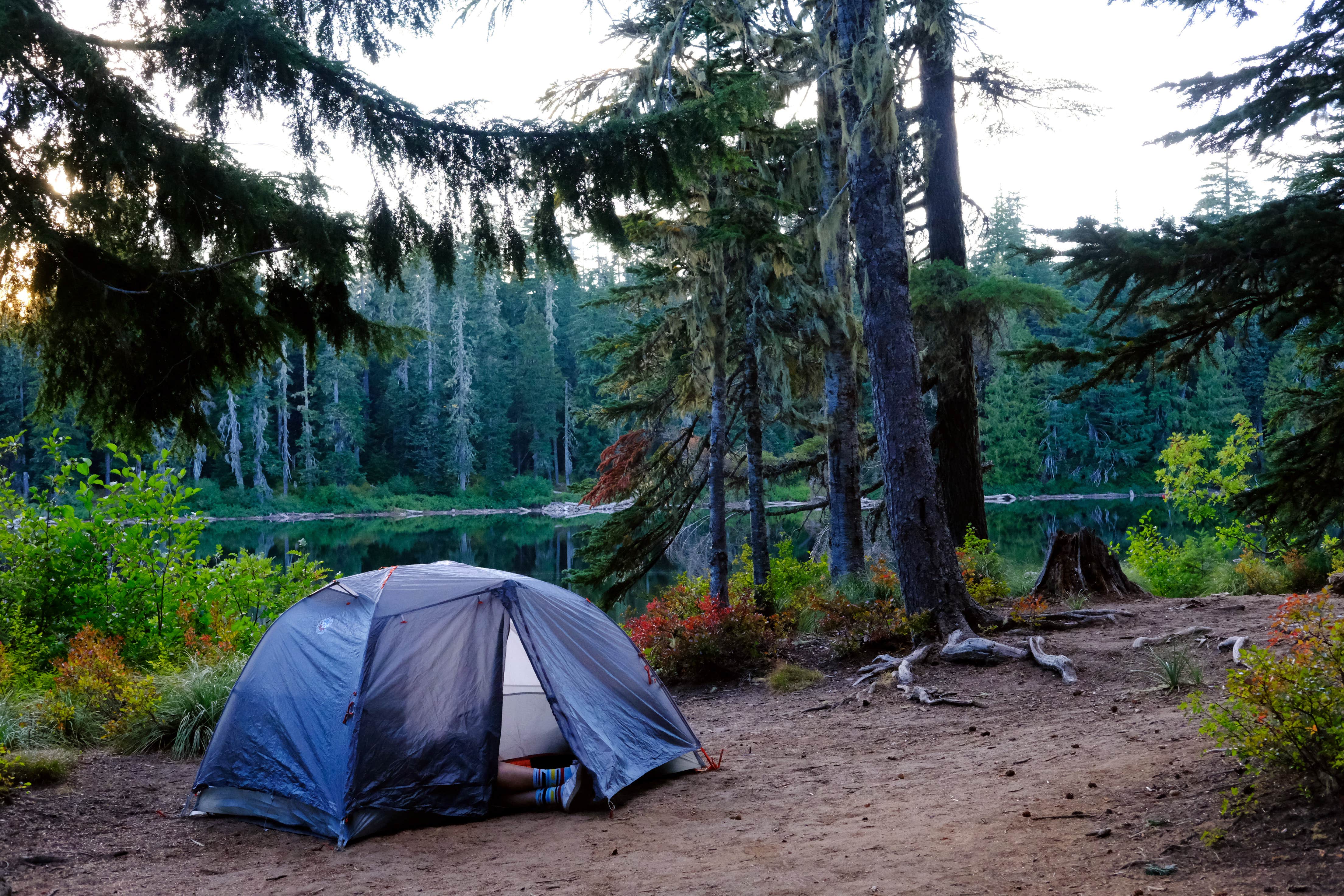 Molly S.'s photo of tent camping at Forlorn Lakes near White Salmon, WA