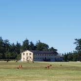 Review photo of Fort Flagler Historical State Park Campground by Mike , September 28, 2022