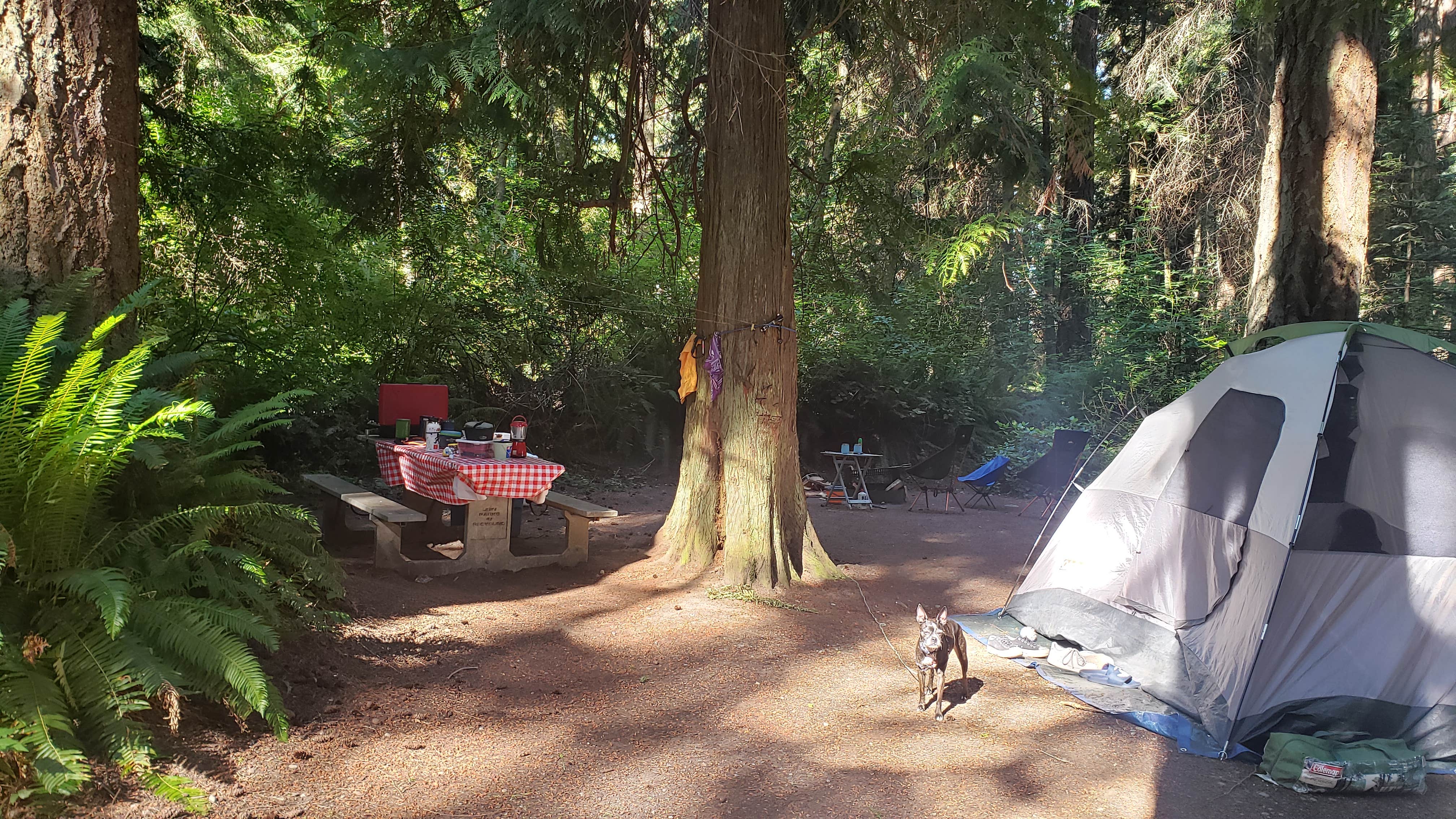 Mike's photo at Fort Flagler Historical State Park Campground near Port Ludlow, WA