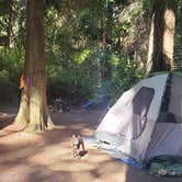 Review photo of Fort Flagler Historical State Park Campground by Mike , September 28, 2022