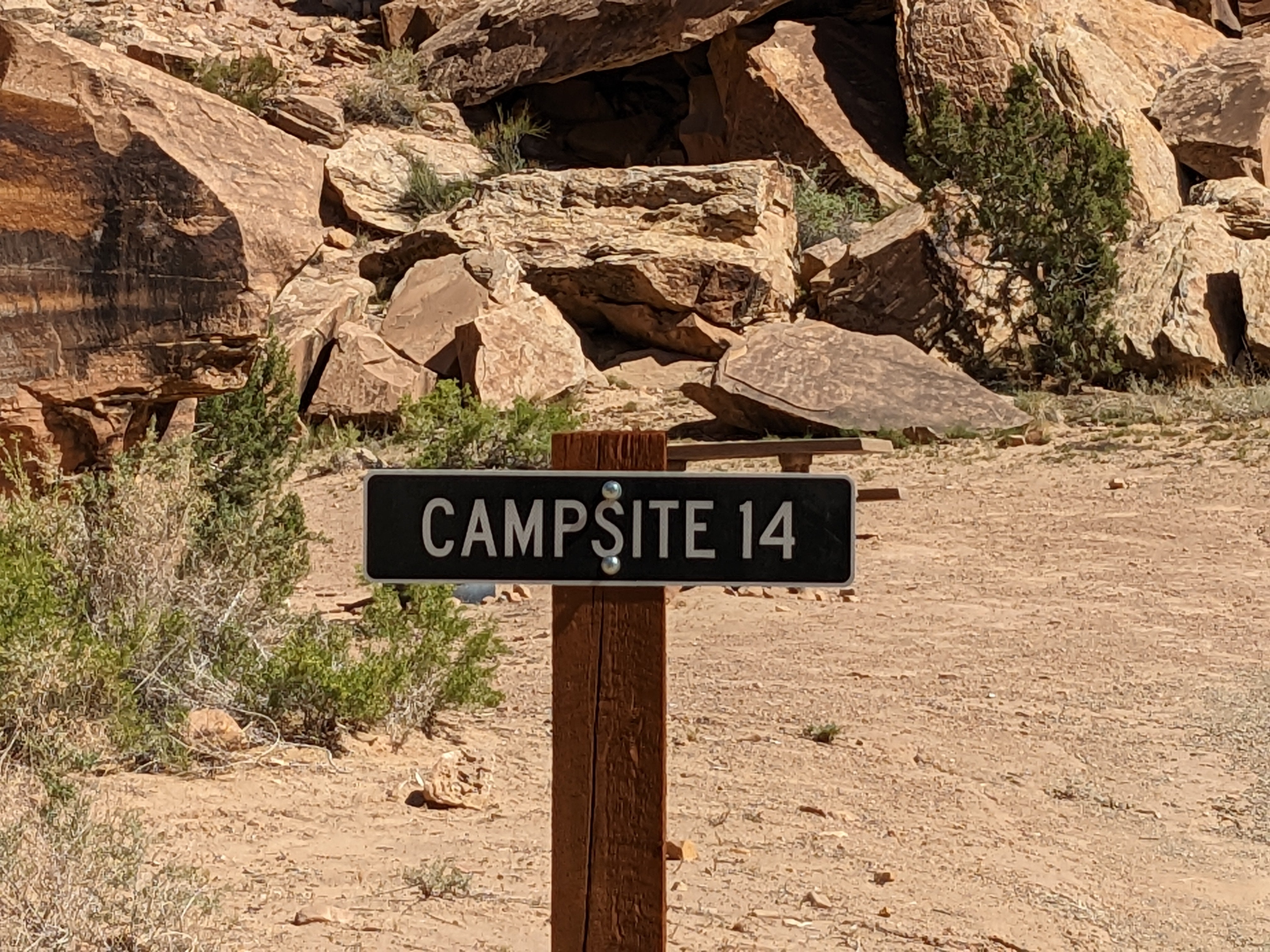Camper submitted image from Buckhorn Draw Designated Campsite #14 - 1
