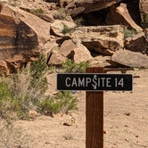 Review photo of Buckhorn Draw Designated Campsite #14 by Greg L., September 28, 2022