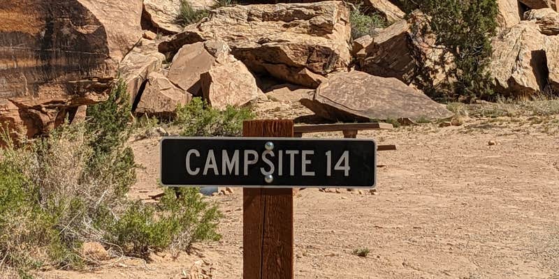 Camper submitted image from Buckhorn Draw Designated Campsite #14