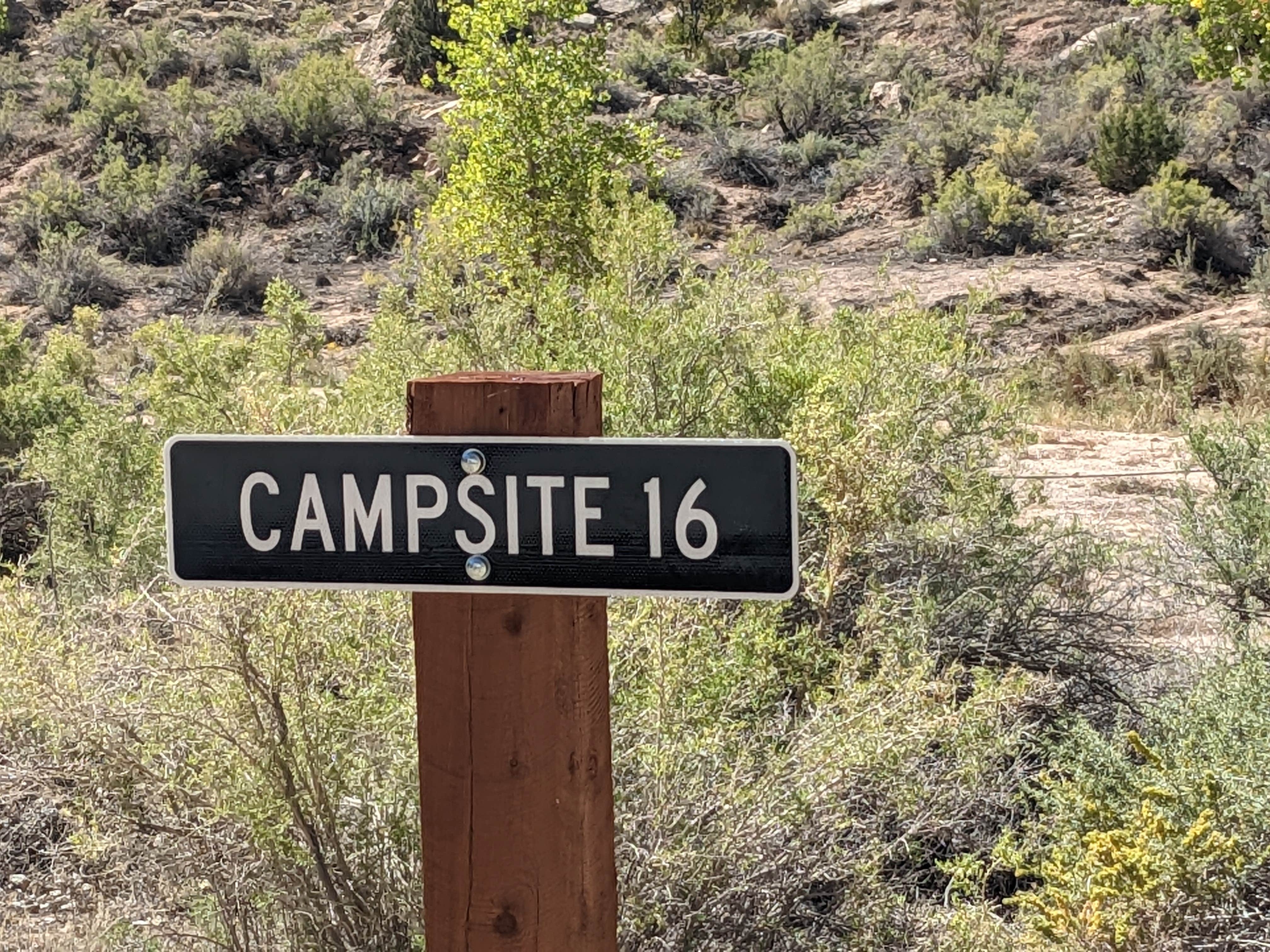 Camper-submitted photo at Buckhorn Draw Designated group Campsite #16 near Huntington, UT