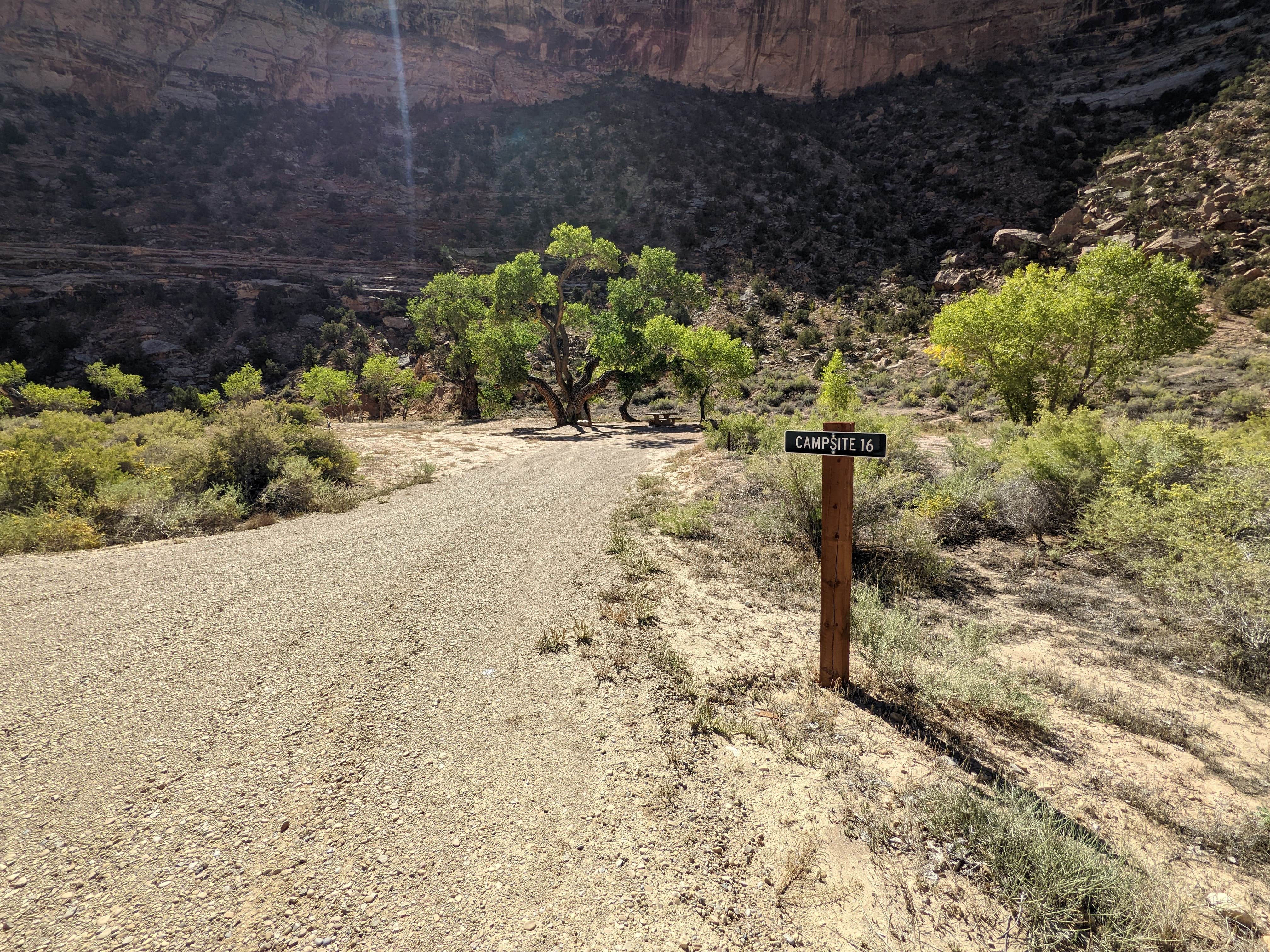 Camper-submitted photo at Buckhorn Draw Designated group Campsite #16 near Huntington, UT