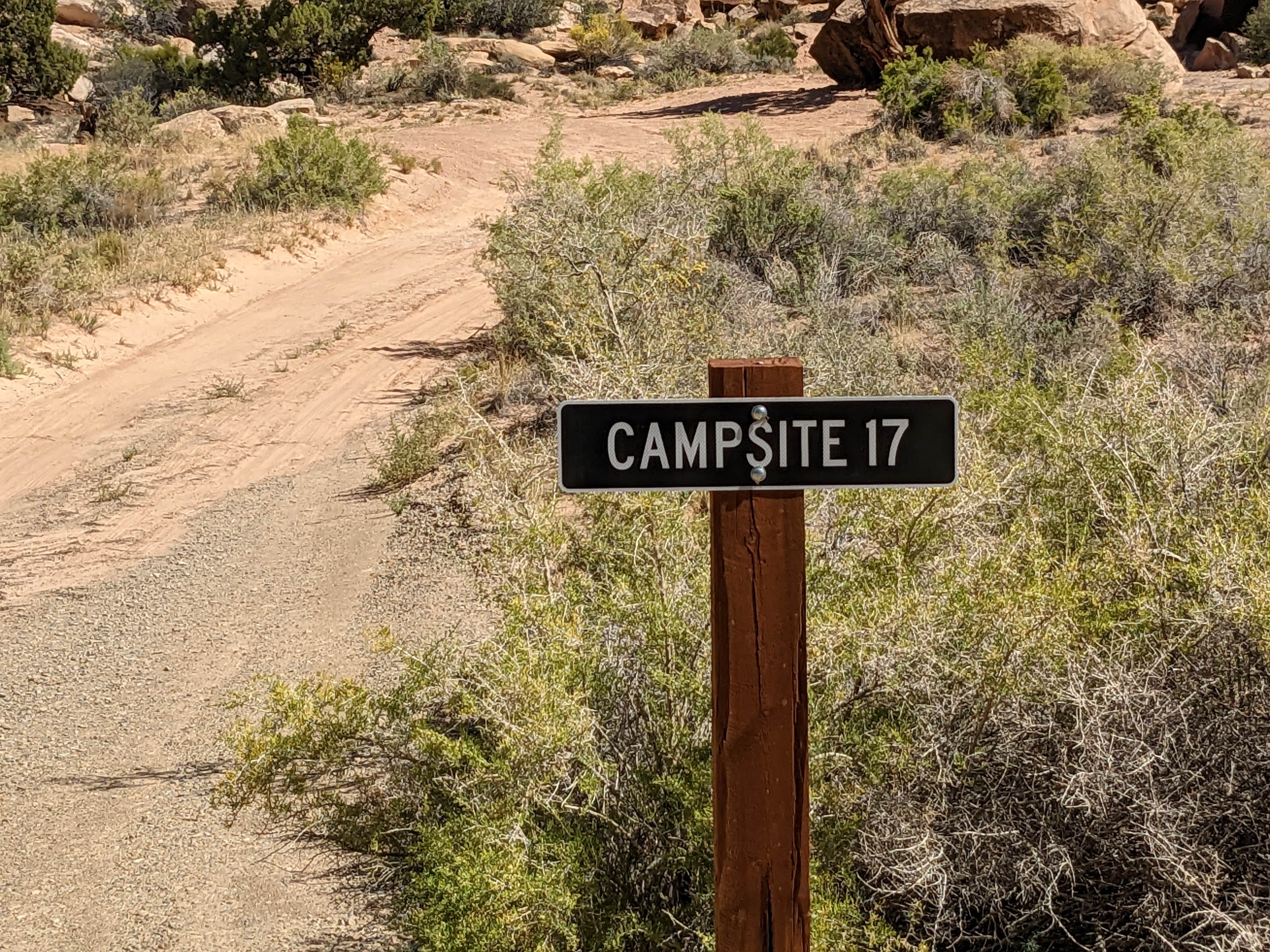 Camper submitted image from Buckhorn Draw Designated Campsite #17 - 4