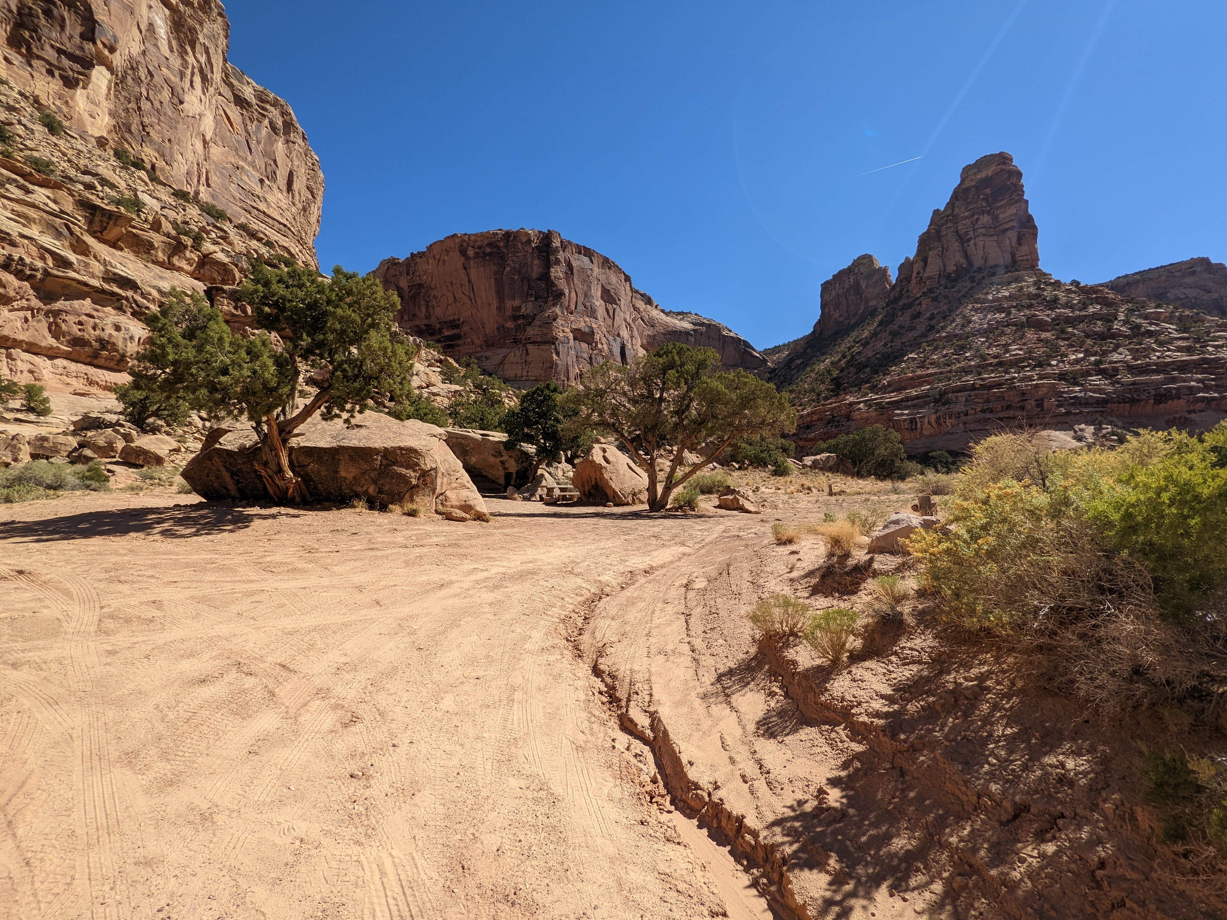 Camper-submitted photo at Buckhorn Draw Designated Campsite #17 near Huntington, UT