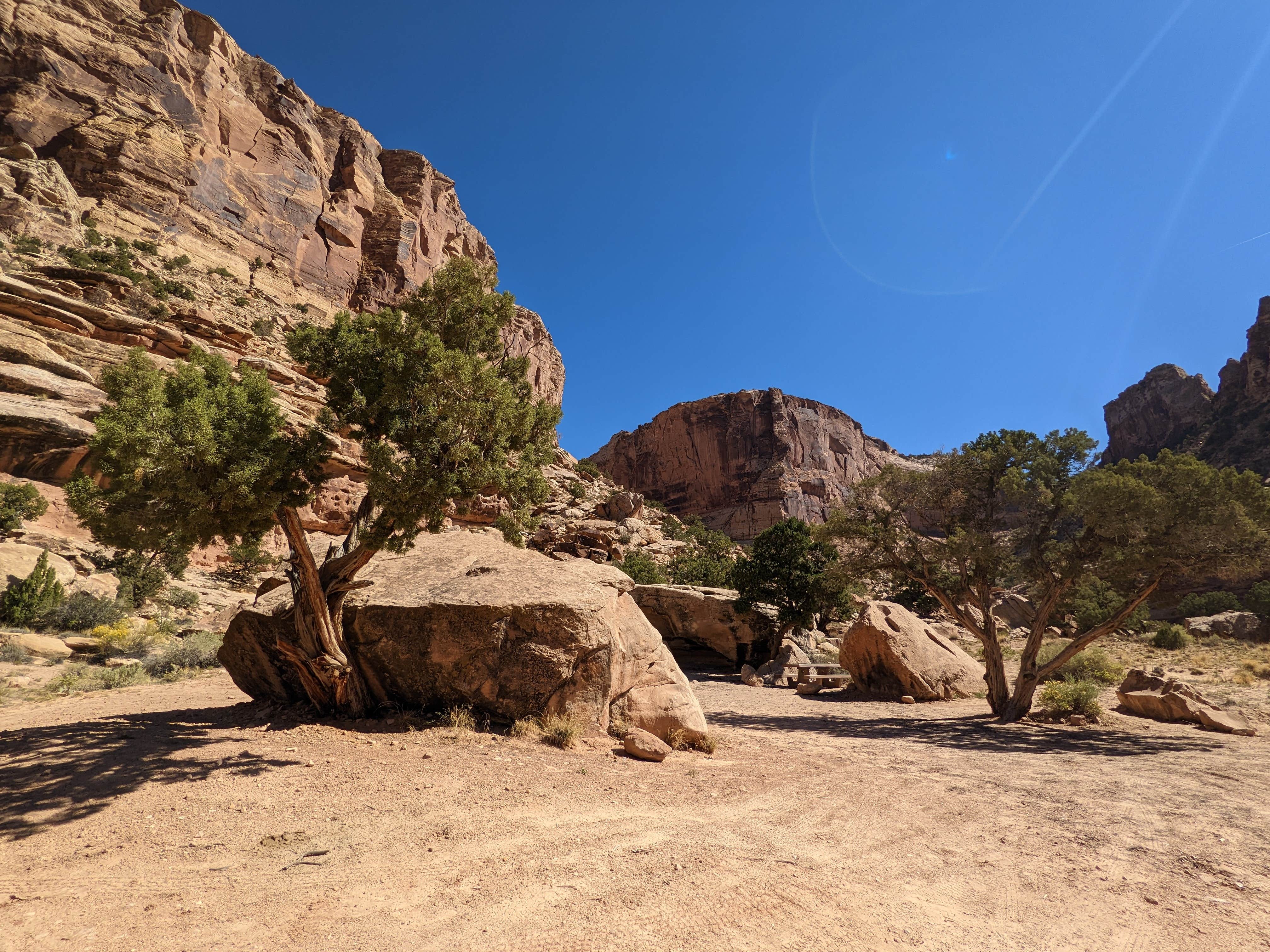 Camper-submitted photo at Buckhorn Draw Designated Campsite #17 near Huntington, UT