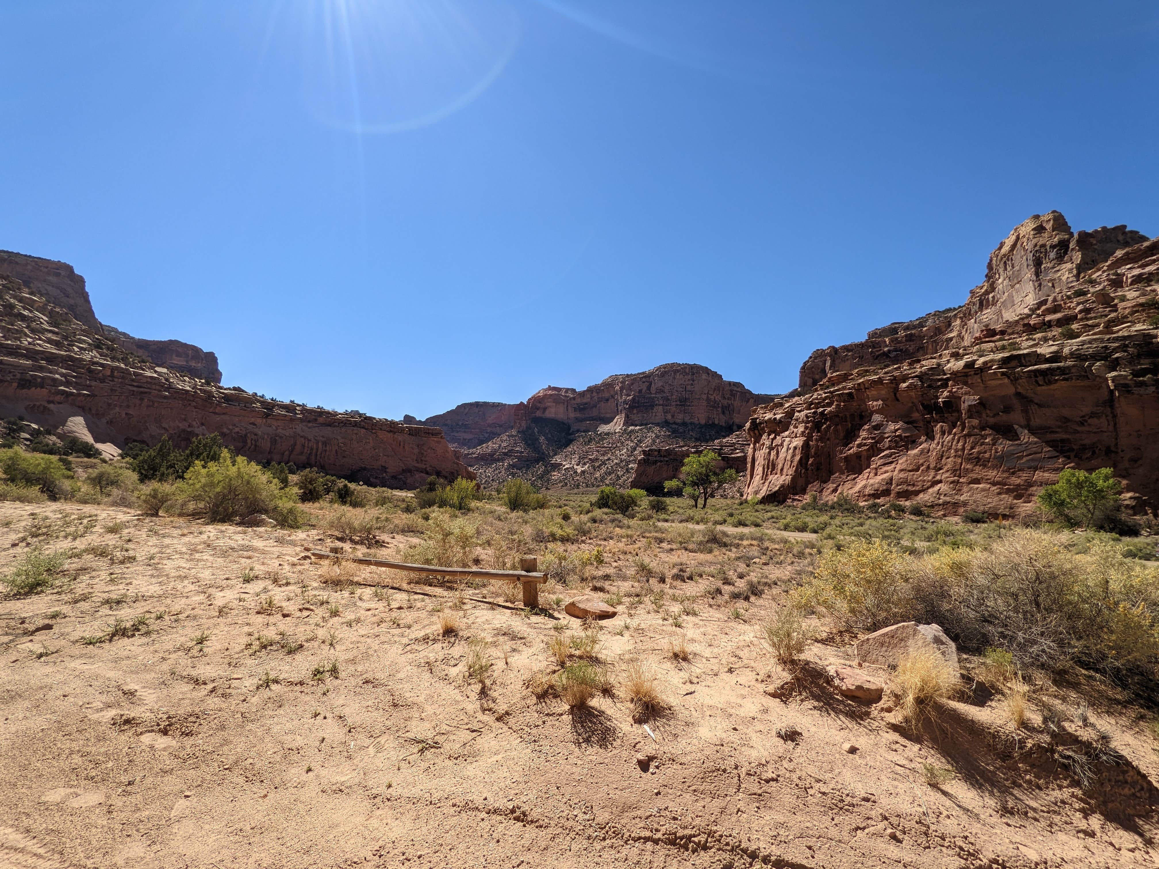 Camper-submitted photo at Buckhorn Draw Designated Campsite #17 near Huntington, UT