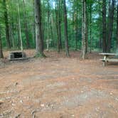 Review photo of Catskill/Kenneth L Wilson Campground by Gary G., September 28, 2022