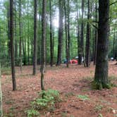 Review photo of Catskill/Kenneth L Wilson Campground by Gary G., September 28, 2022