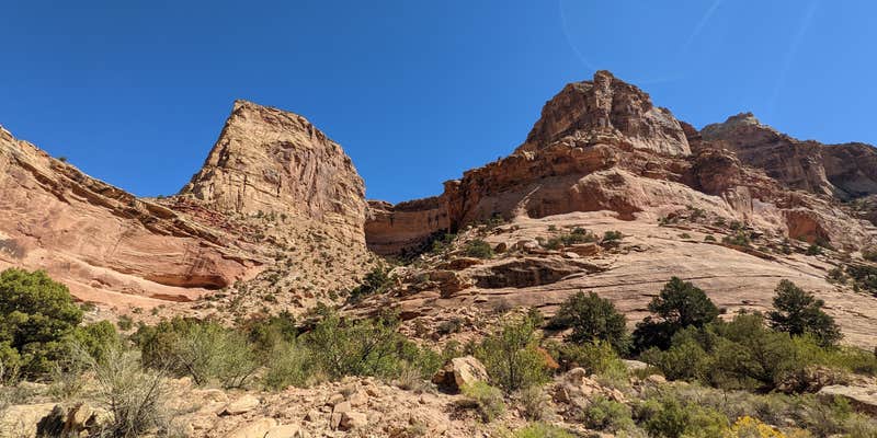 Camper submitted image from Buckhorn Draw Drsignated fee Campsite #22