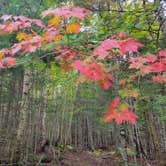 Review photo of Trout Pond Campsite by Nancy W., September 28, 2022