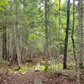 Review photo of Trout Pond Campsite by Nancy W., September 28, 2022