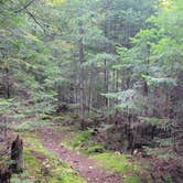 Review photo of Trout Pond Campsite by Nancy W., September 28, 2022