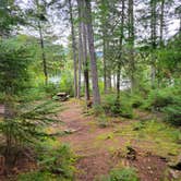 Review photo of Trout Pond Campsite by Nancy W., September 28, 2022