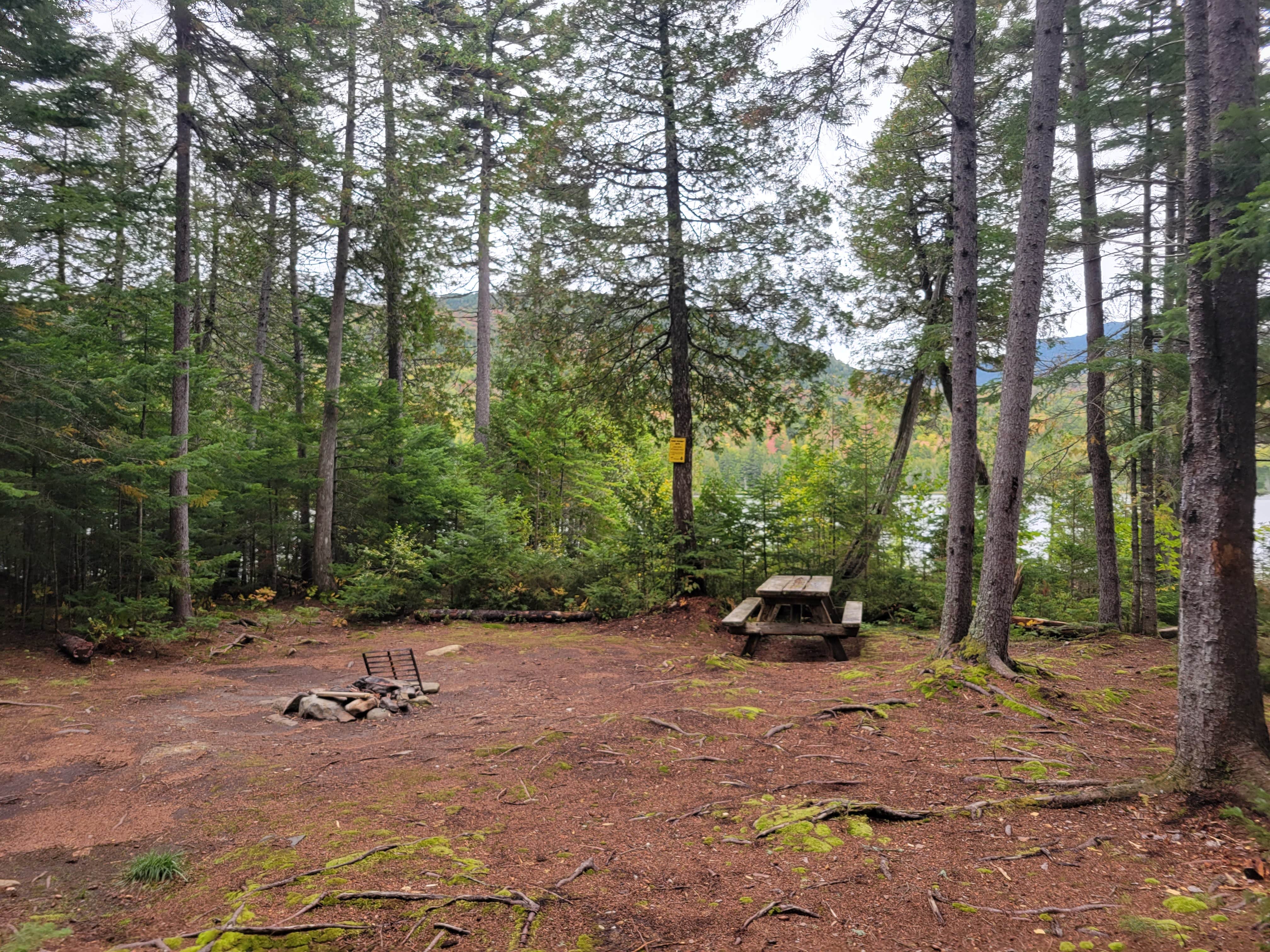 Camper-submitted photo at Trout Pond Campsite near Jackman, ME