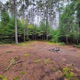 Review photo of Trout Pond Campsite by Nancy W., September 28, 2022