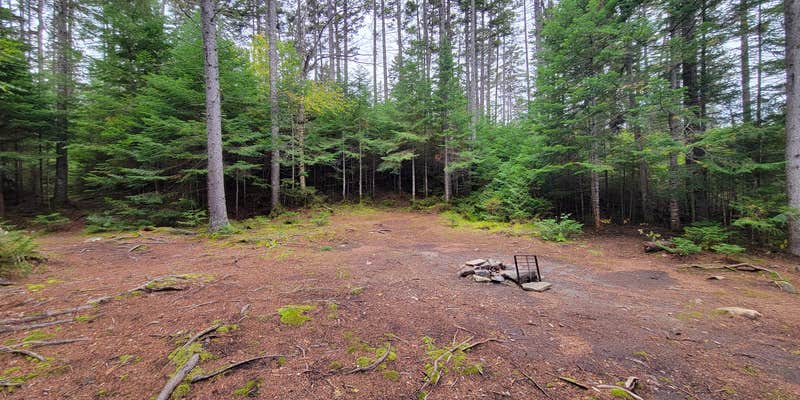 Camper submitted image from Trout Pond Campsite