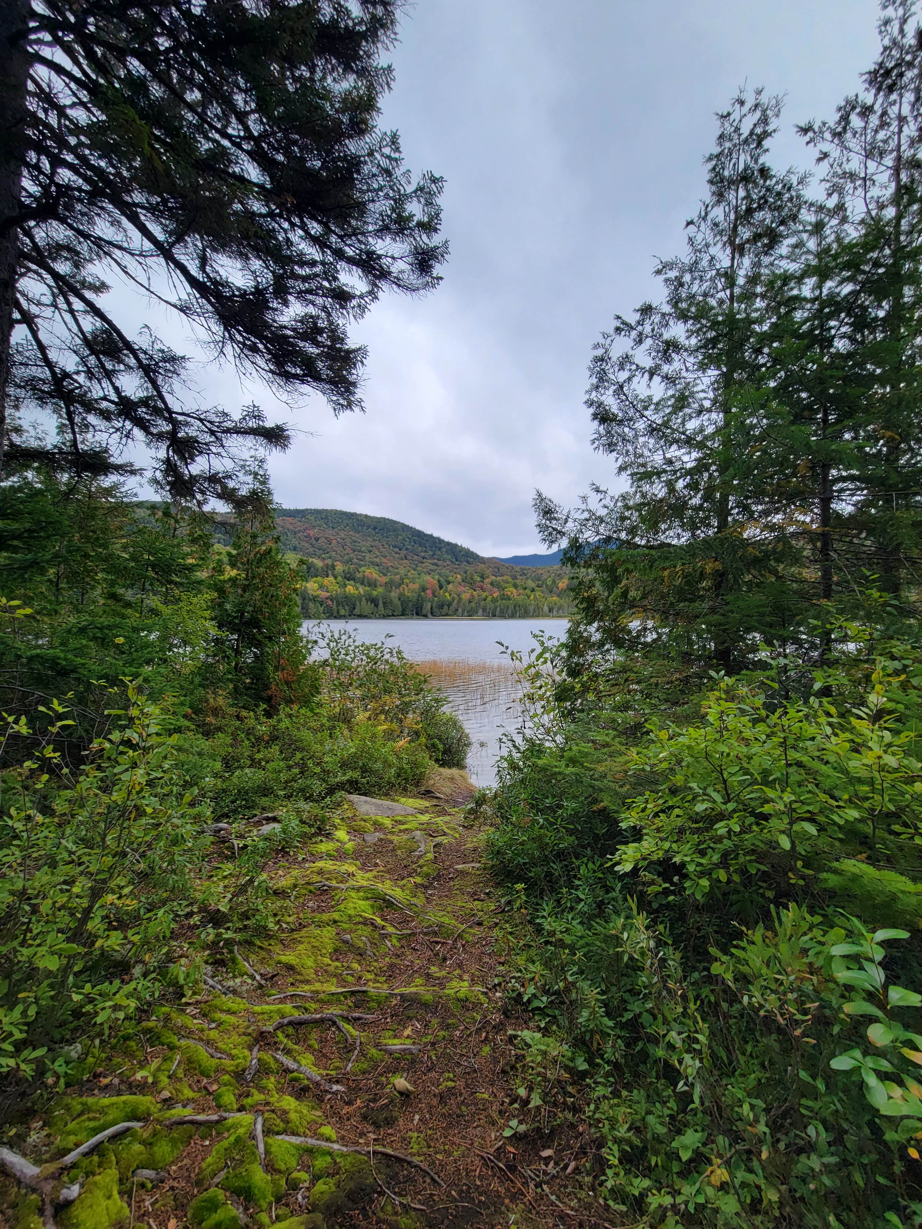 Camper-submitted photo at Trout Pond Campsite near Jackman, ME