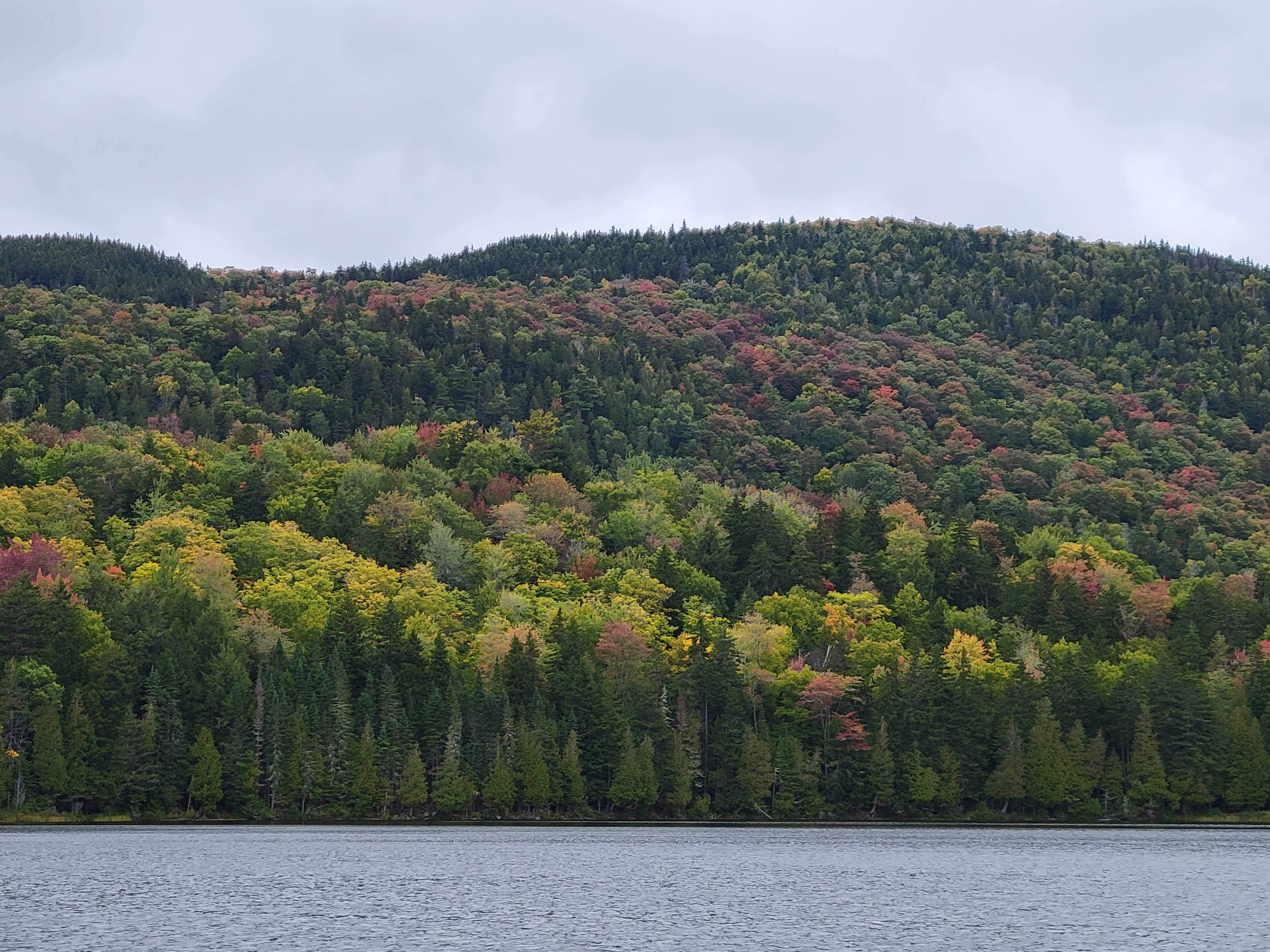 Camper-submitted photo at Trout Pond Campsite near Jackman, ME