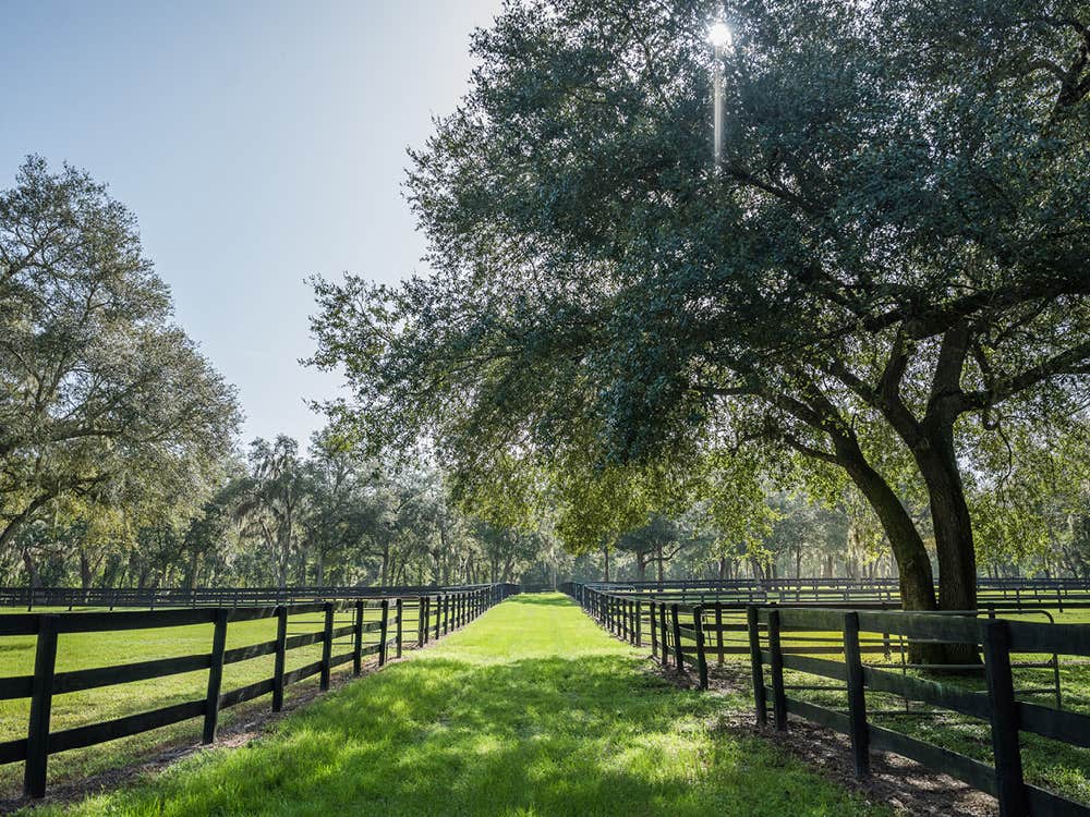 Camper-submitted photo at Black Prong Equestrian Village near Bronson, FL