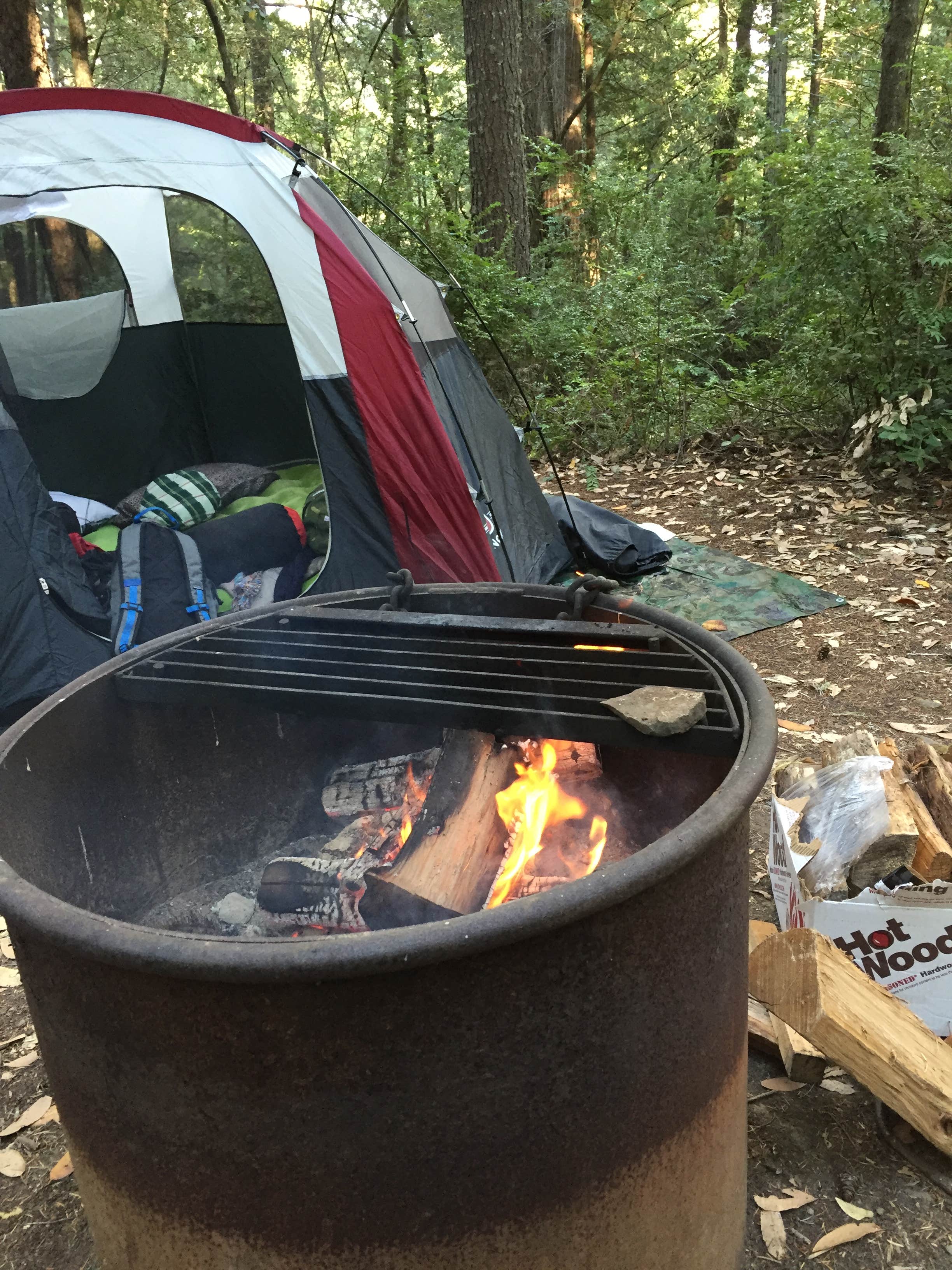 Camper-submitted photo at Hidden Springs Campground — Humboldt Redwoods State Park near Bridgeville, CA