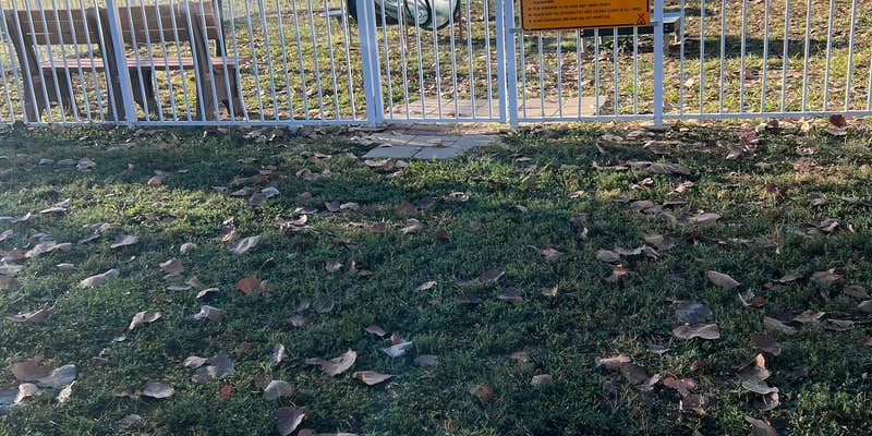 Camper submitted image from Memphis KOA