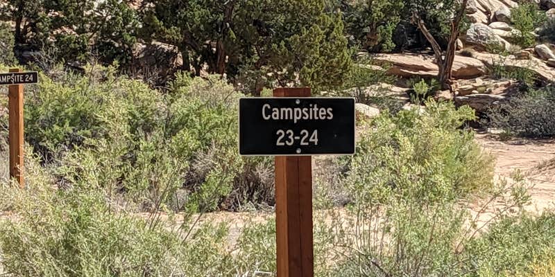 Camper submitted image from Buckhorn Draw fee designated Campsites 23-24