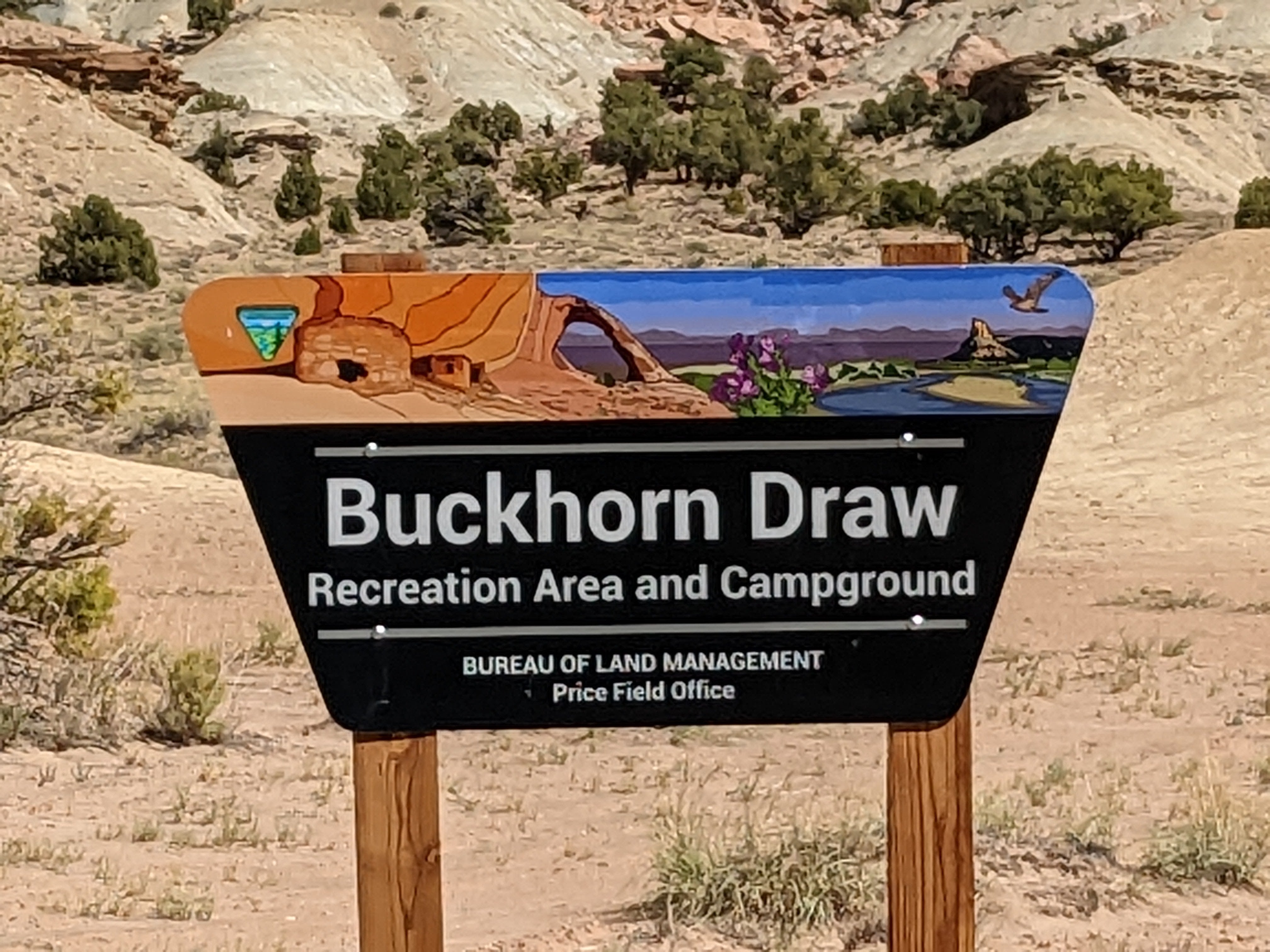 Camper submitted image from Buckhorn Draw fee designated Campsites 23-24 - 4