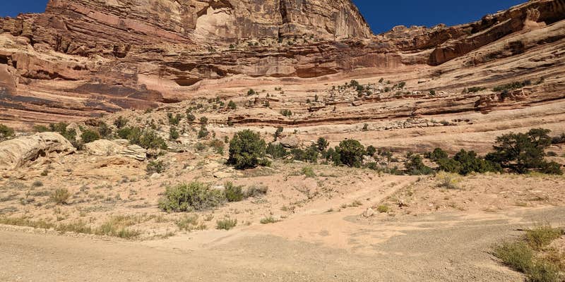 Camper submitted image from Buckhorn Draw fee Campsite #25