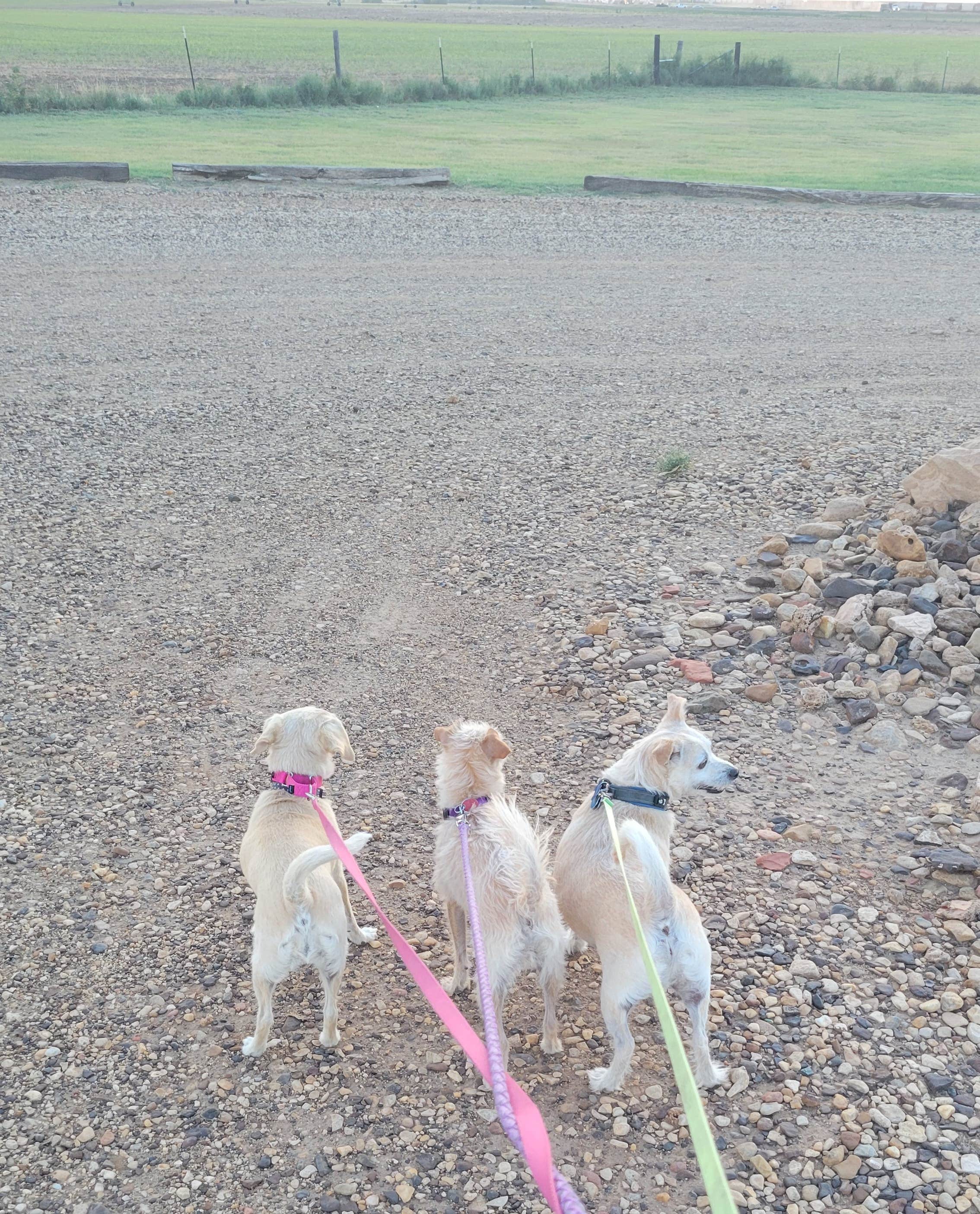 Camper-submitted photo at Western Star RV Ranch near Meade, KS