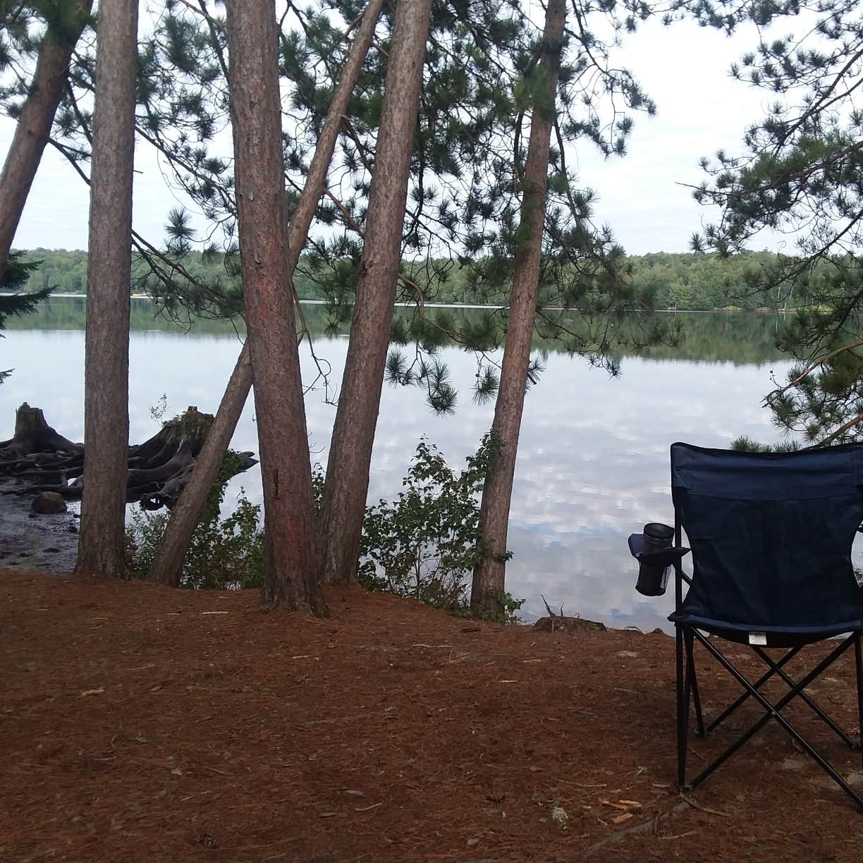 Higley Flow State Park Camping The Dyrt