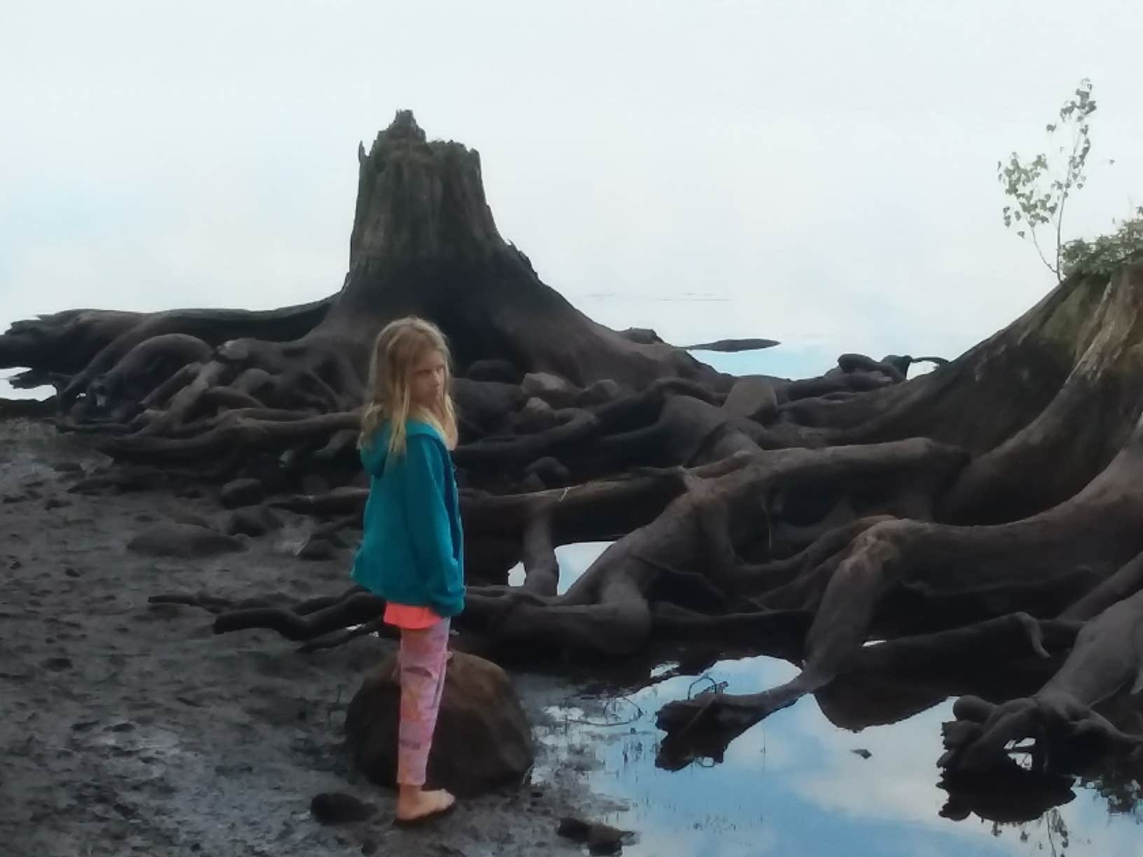 Camper-submitted photo at Higley Flow State Park Campground near Massena, NY